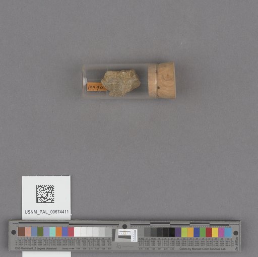 NSF ADBC EPICC TCN
