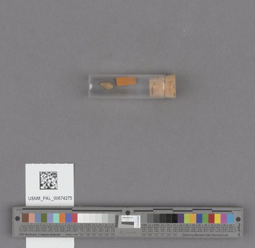 NSF ADBC EPICC TCN