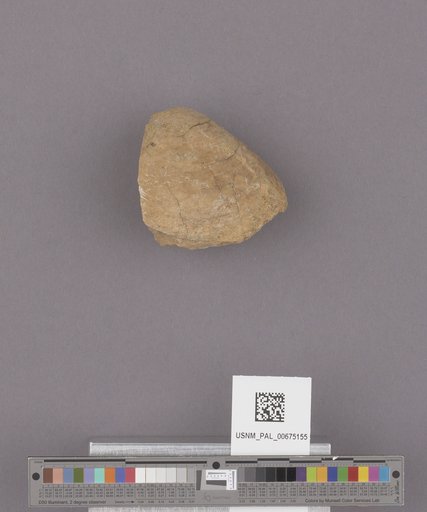 NSF ADBC EPICC TCN