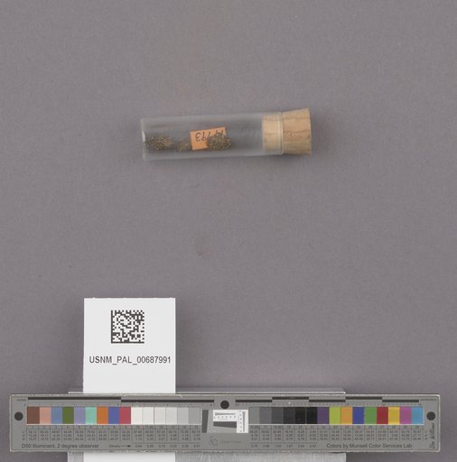 NSF ADBC EPICC TCN