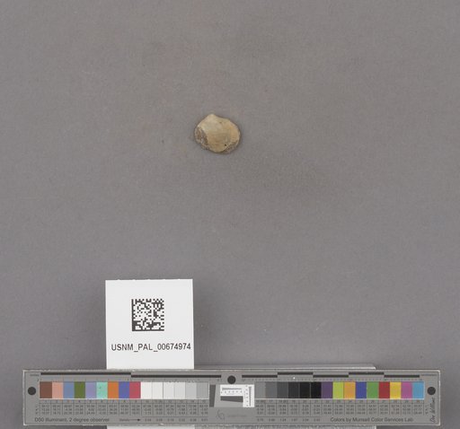 NSF ADBC EPICC TCN