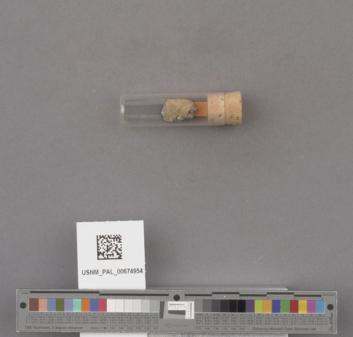 NSF ADBC EPICC TCN