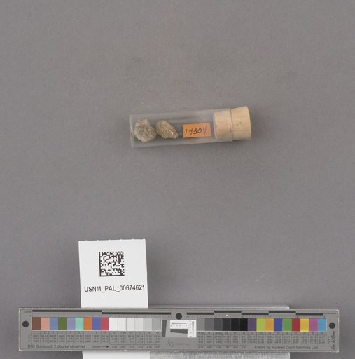 NSF ADBC EPICC TCN