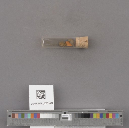 NSF ADBC EPICC TCN