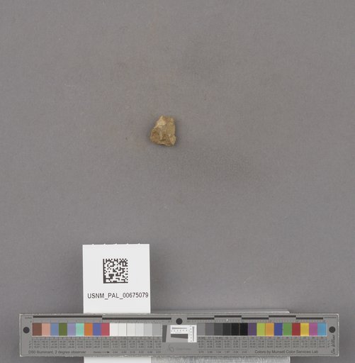 NSF ADBC EPICC TCN