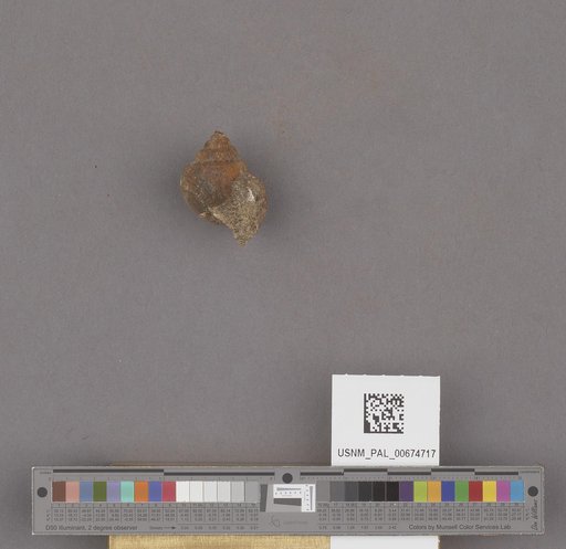 NSF ADBC EPICC TCN