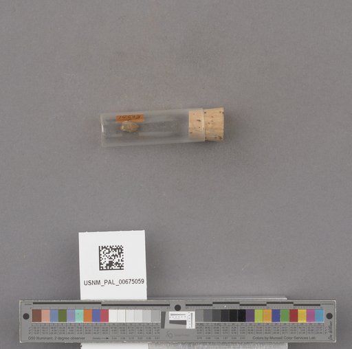 NSF ADBC EPICC TCN