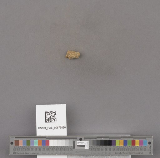 NSF ADBC EPICC TCN