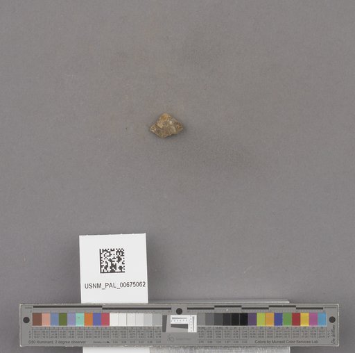 NSF ADBC EPICC TCN