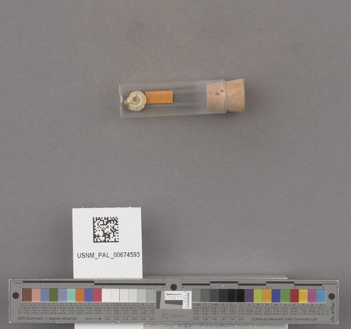 NSF ADBC EPICC TCN