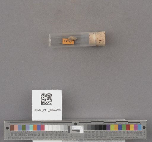 NSF ADBC EPICC TCN