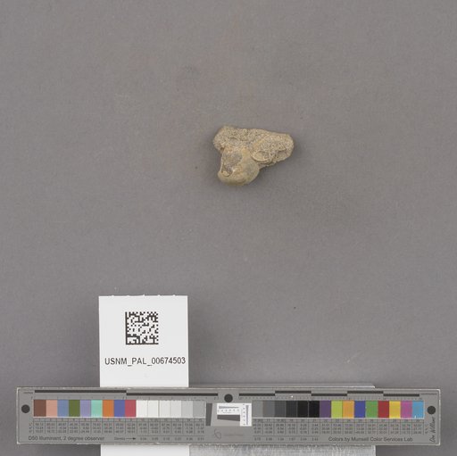 NSF ADBC EPICC TCN