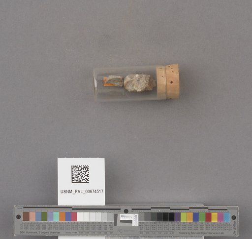 NSF ADBC EPICC TCN