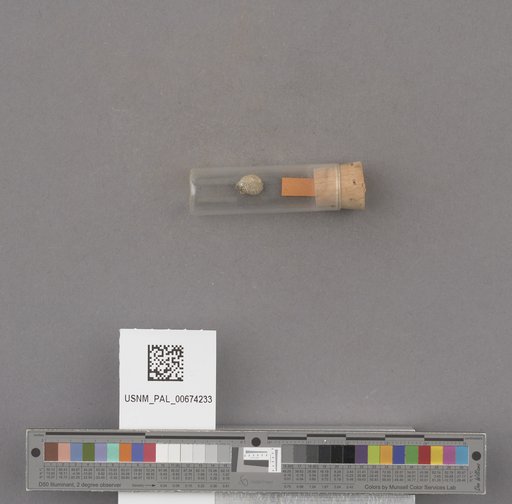 NSF ADBC EPICC TCN