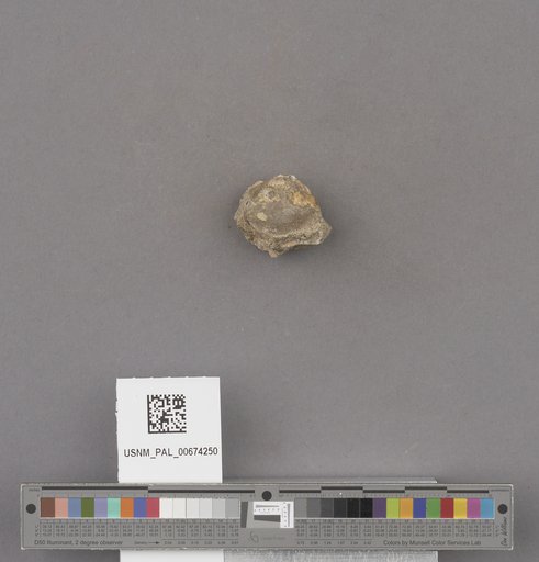 NSF ADBC EPICC TCN