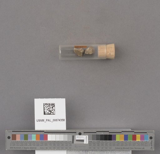 NSF ADBC EPICC TCN
