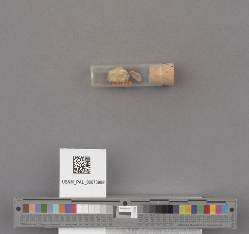 NSF ADBC EPICC TCN