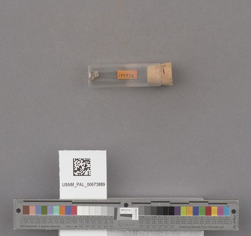 NSF ADBC EPICC TCN