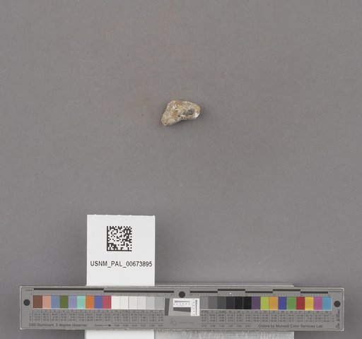 NSF ADBC EPICC TCN