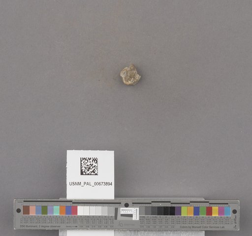 NSF ADBC EPICC TCN