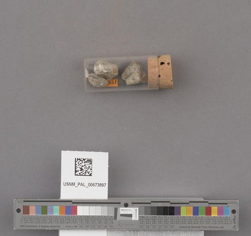 NSF ADBC EPICC TCN