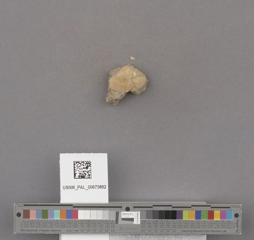 NSF ADBC EPICC TCN