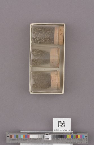 NSF ADBC EPICC TCN