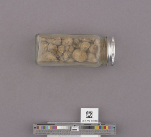 NSF ADBC EPICC TCN