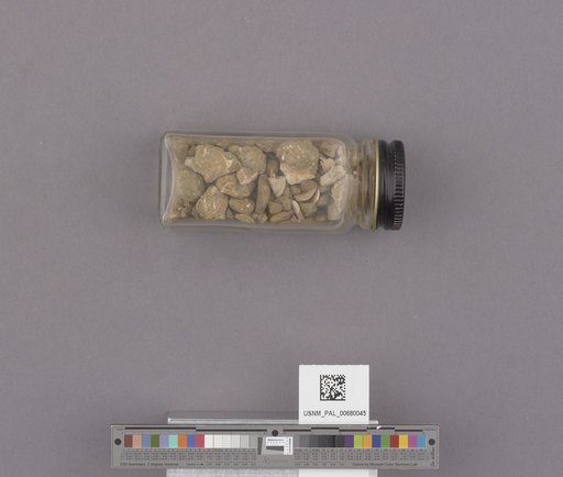 NSF ADBC EPICC TCN