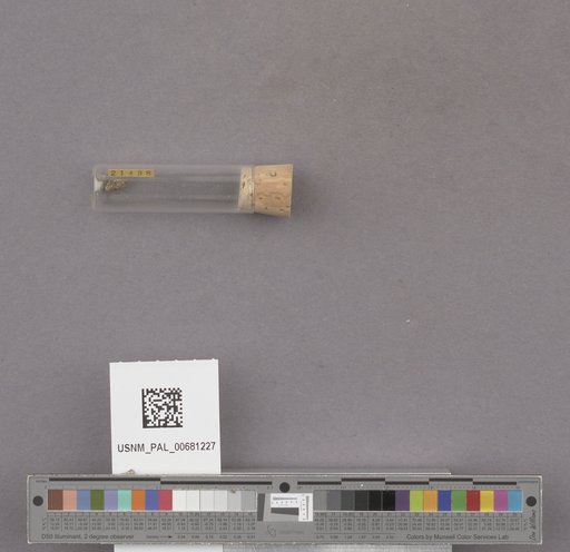 NSF ADBC EPICC TCN