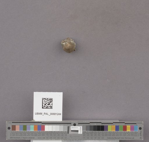 NSF ADBC EPICC TCN