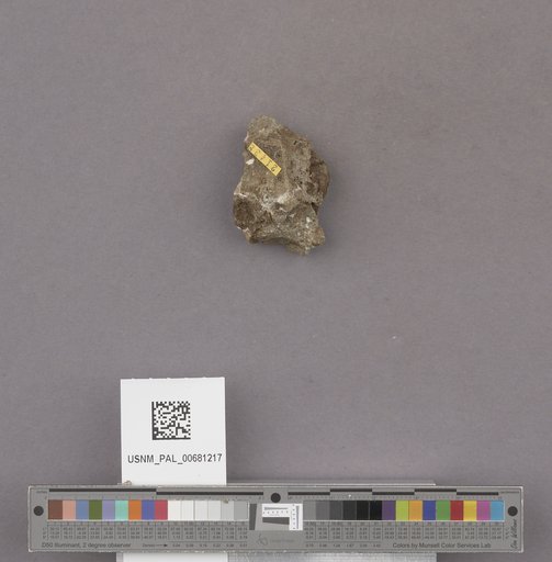 NSF ADBC EPICC TCN