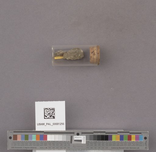 NSF ADBC EPICC TCN