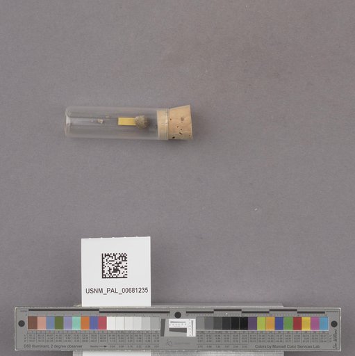 NSF ADBC EPICC TCN