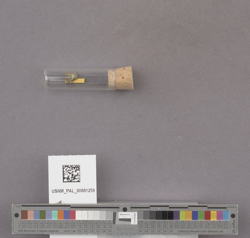 NSF ADBC EPICC TCN