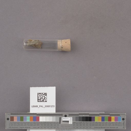 NSF ADBC EPICC TCN