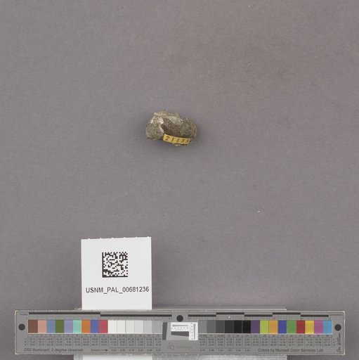 NSF ADBC EPICC TCN