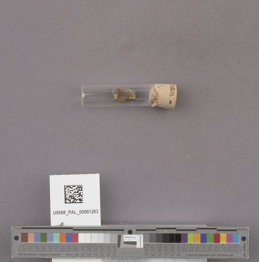 NSF ADBC EPICC TCN