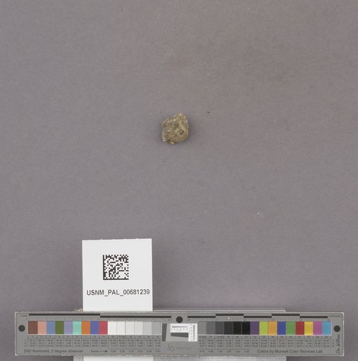NSF ADBC EPICC TCN