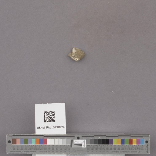 NSF ADBC EPICC TCN