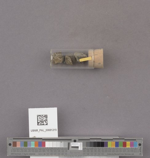 NSF ADBC EPICC TCN