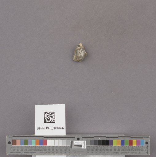 NSF ADBC EPICC TCN