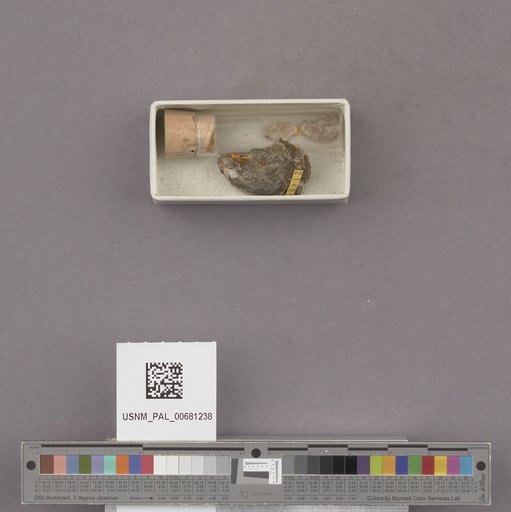 NSF ADBC EPICC TCN