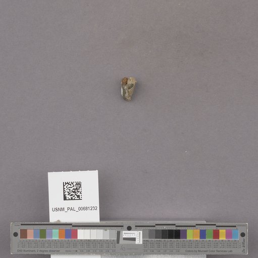 NSF ADBC EPICC TCN