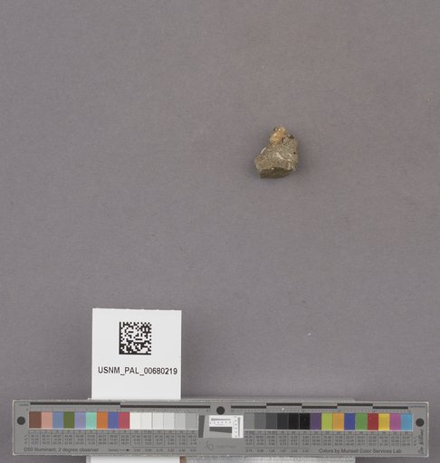 NSF ADBC EPICC TCN