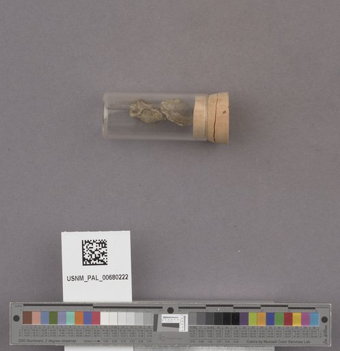 NSF ADBC EPICC TCN