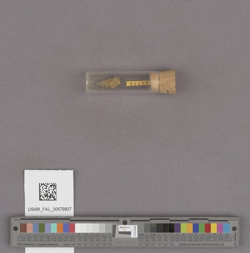 NSF ADBC EPICC TCN