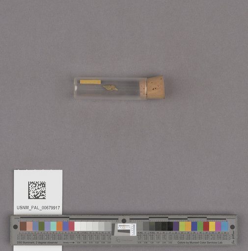 NSF ADBC EPICC TCN