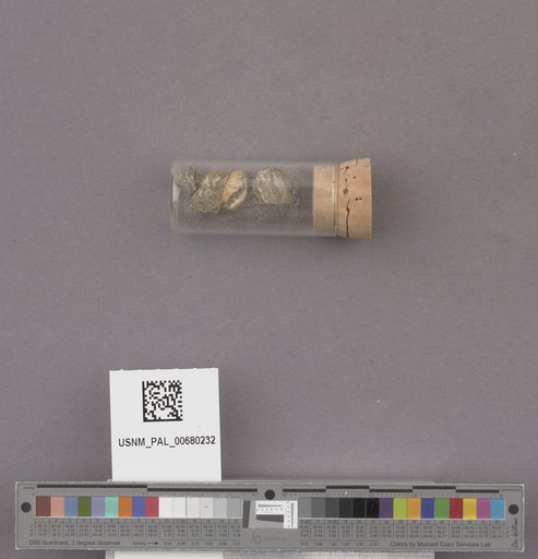 NSF ADBC EPICC TCN