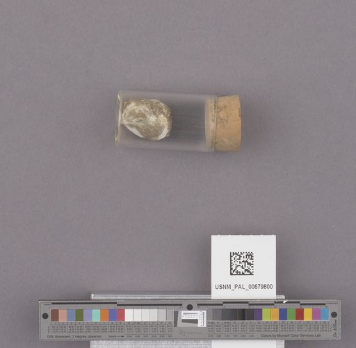 NSF ADBC EPICC TCN